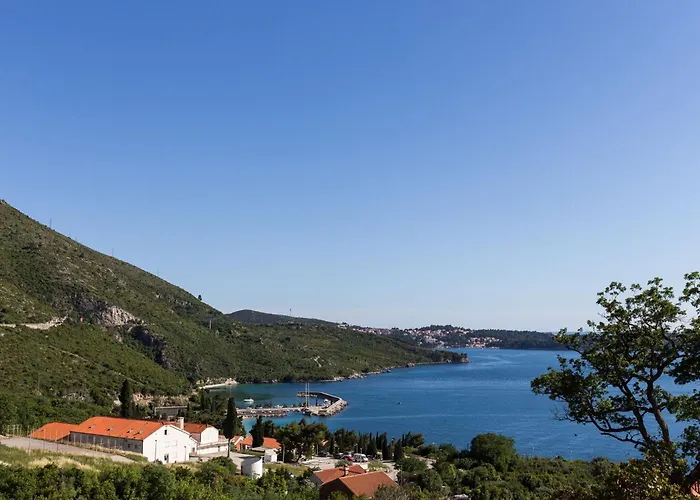 아파트 Dubravka 믈리니