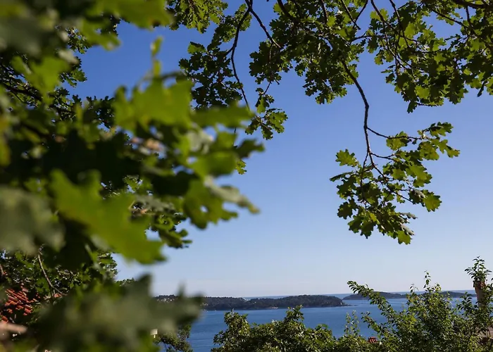 아파트 Dubravka 믈리니