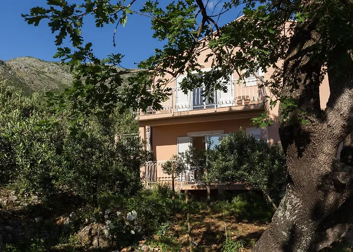 Dubravka 아파트 믈리니