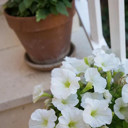 Dubravka Lägenhet Mlini