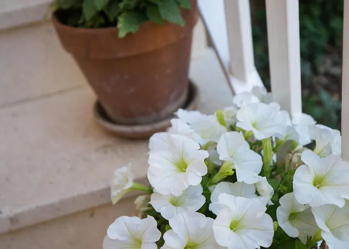 Dubravka Апартаменты Млини